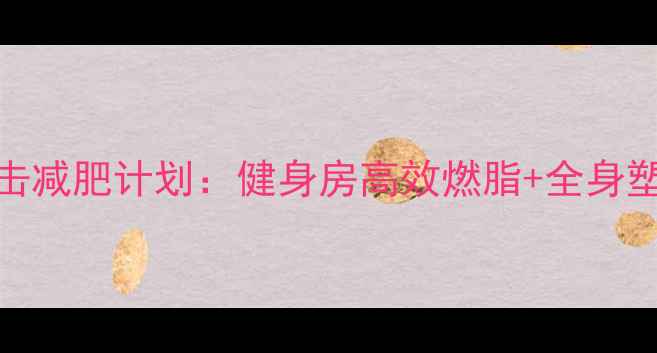 图片 30天拳击减肥计划：健身房高效燃脂+全身塑形指南