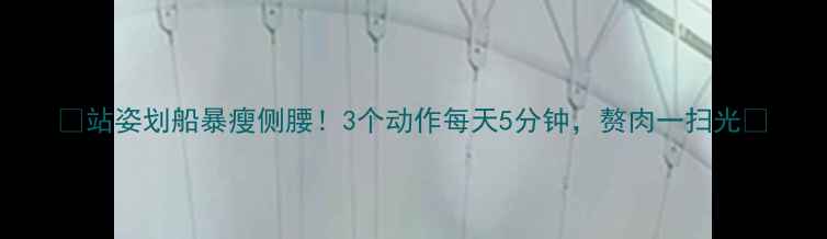图片 ✨站姿划船暴瘦侧腰！3个动作每天5分钟，赘肉一扫光✨