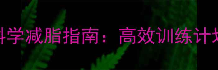 图片 体操运动员科学减脂指南：高效训练计划与营养方案