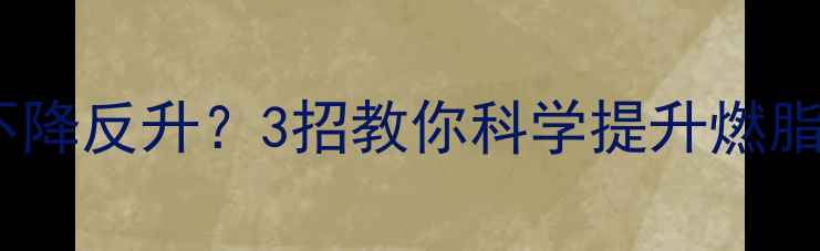 图片 健身后基础代谢不降反升？3招教你科学提升燃脂效率（附食谱）1