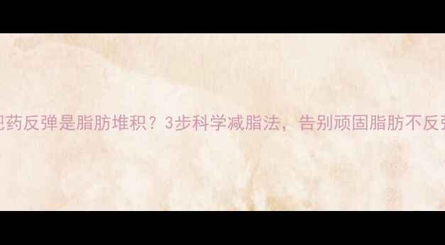 图片 减肥药反弹是脂肪堆积？3步科学减脂法，告别顽固脂肪不反弹！