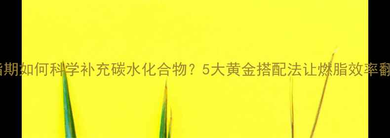 图片 减脂期如何科学补充碳水化合物？5大黄金搭配法让燃脂效率翻倍1