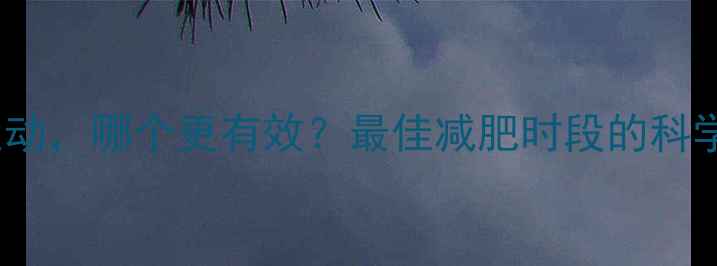 图片 早上运动VS晚上运动，哪个更有效？最佳减肥时段的科学依据和实操指南1
