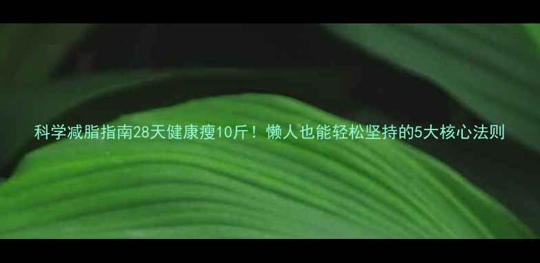 图片 科学减脂指南28天健康瘦10斤！懒人也能轻松坚持的5大核心法则