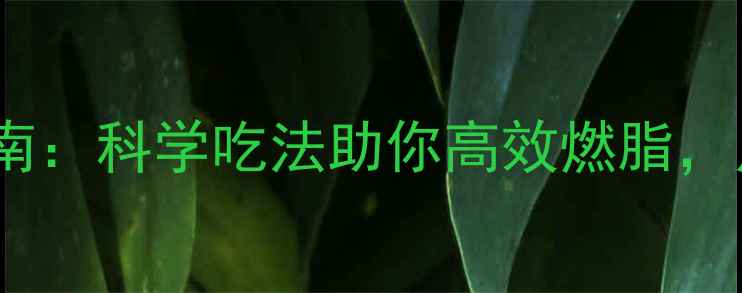 图片 运动饮食搭配指南：科学吃法助你高效燃脂，月减10斤不反弹1