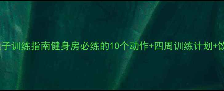 图片 高效减脂瘦肚子训练指南健身房必练的10个动作+四周训练计划+饮食搭配方案1