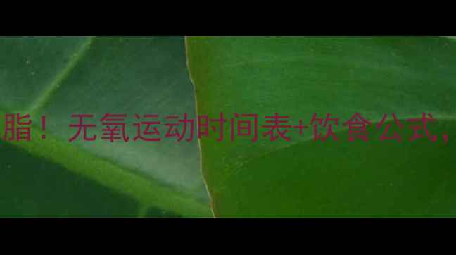 图片 🔥30天高效燃脂！无氧运动时间表+饮食公式，新手必看🔥1